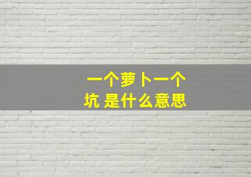 一个萝卜一个坑 是什么意思